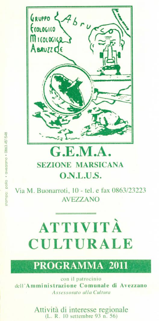 programma gema 2011